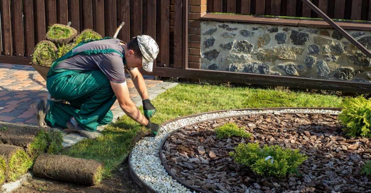 Serenity Landscapes — Landscaping Services in Auckland