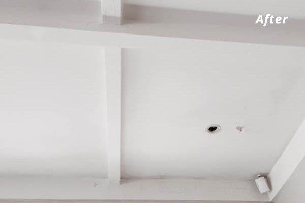 Hot & Steamy Ltd — Cleaning Services in Auckland