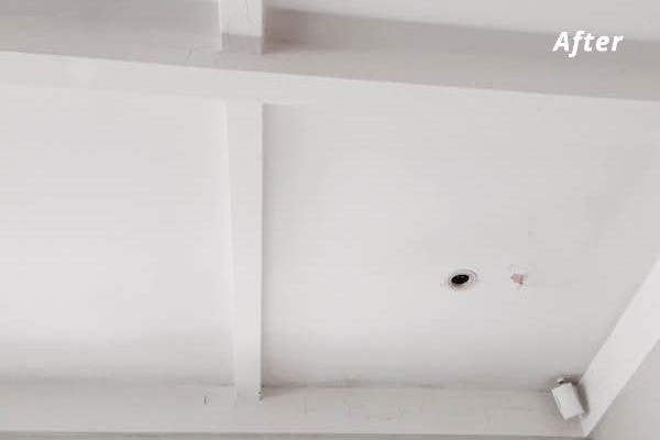 Hot & Steamy Ltd — Cleaning Services in Auckland