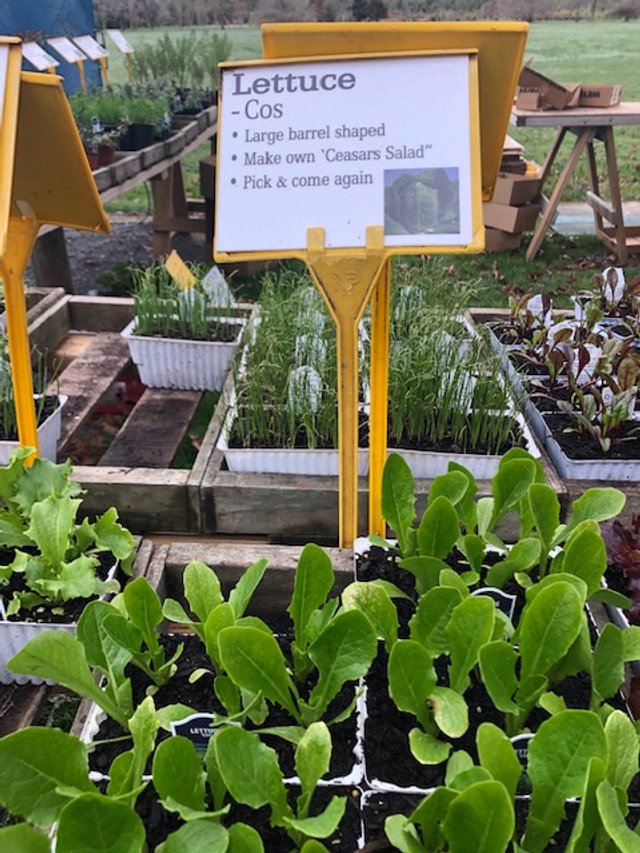 Ohoka Farmers Market — Food & Beverage in Ohoka