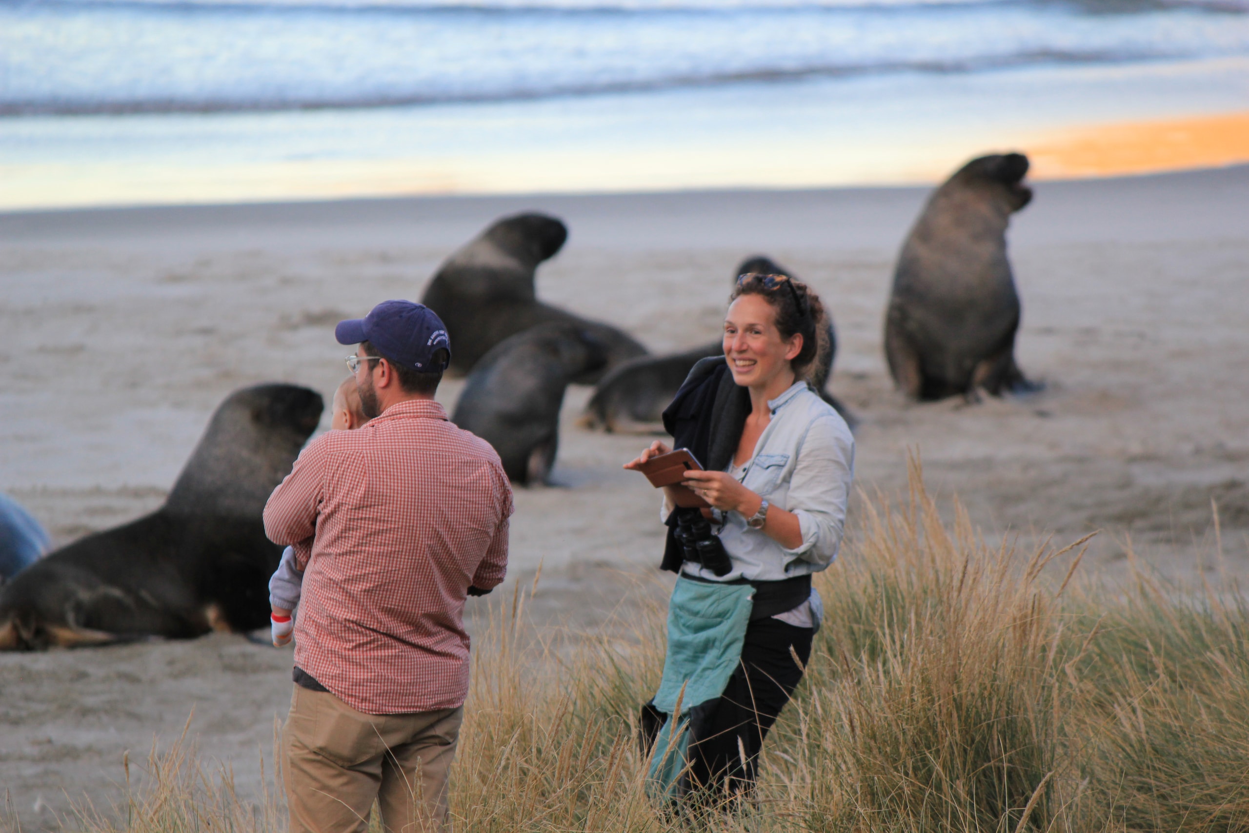 Elm Wildlife Tours — Travel & Tourism in Dunedin