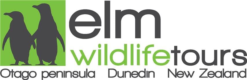 Elm Wildlife Tours