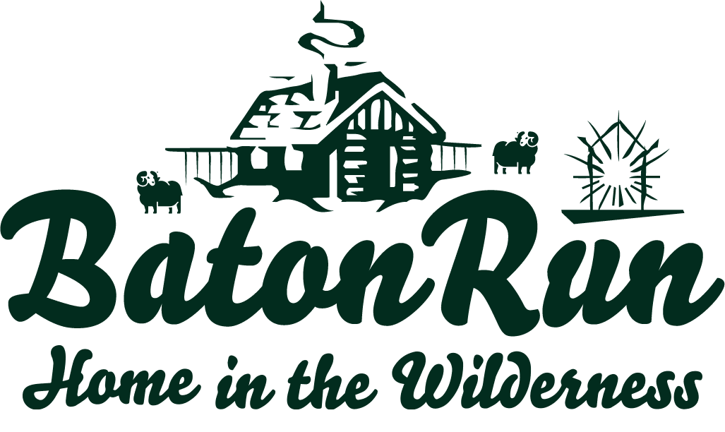 Baton Run Hut Haven — Accommodation in Tapawera