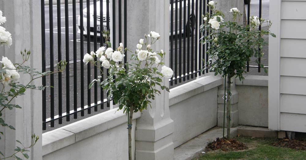 Ponsonby Manor — Accommodation in Auckland