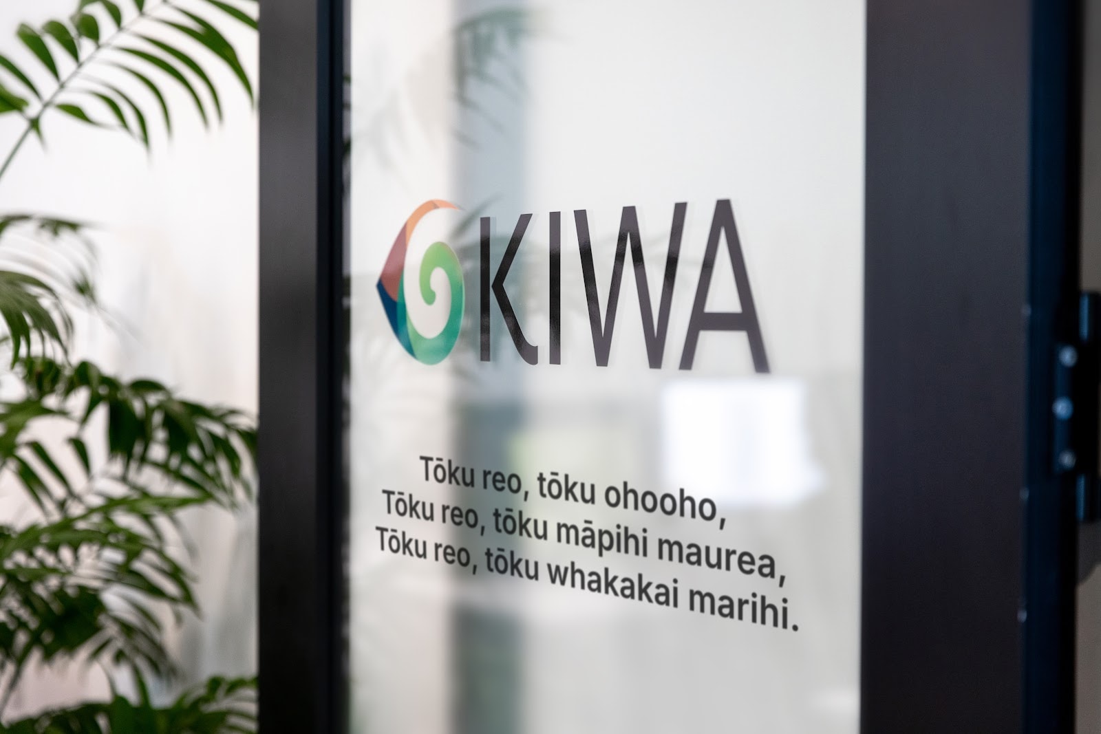 Kiwa Digital Limited — Digital Marketing Agencies in Auckland