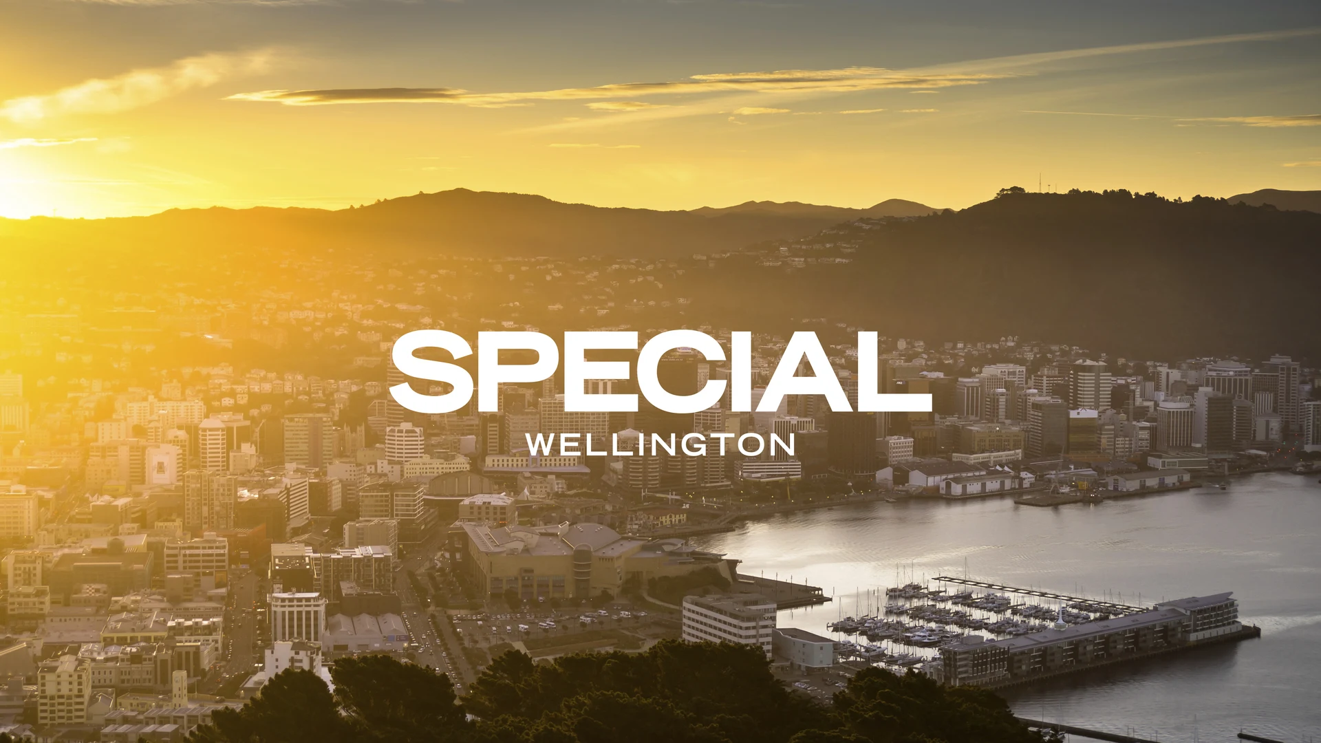 Special Group — Digital Marketing Agencies in Wellington