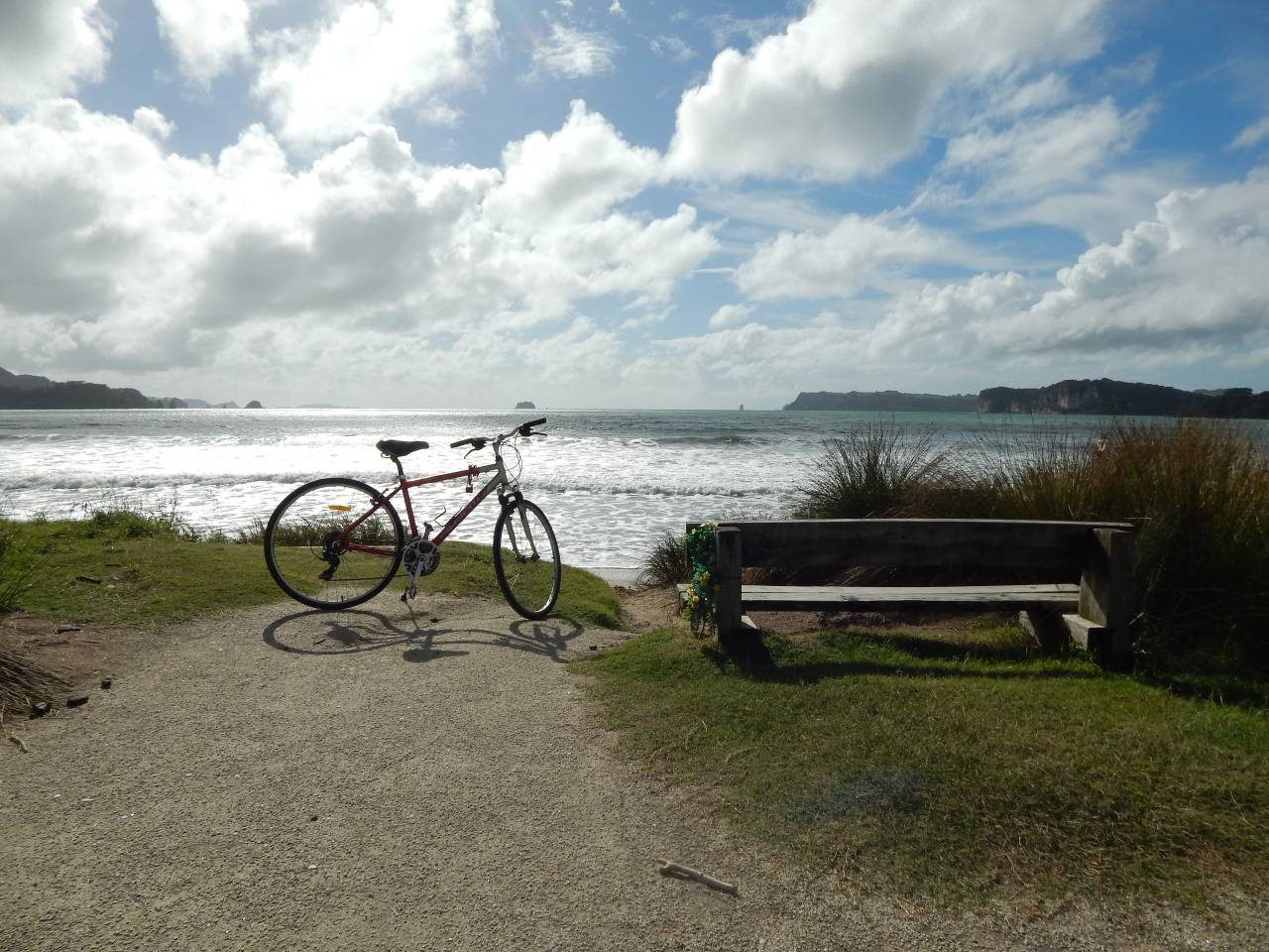 46onBuffalo — Accommodation in Auckland