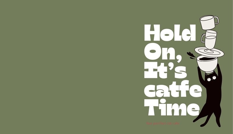 Catfe Mao·猫 — Café in Auckland