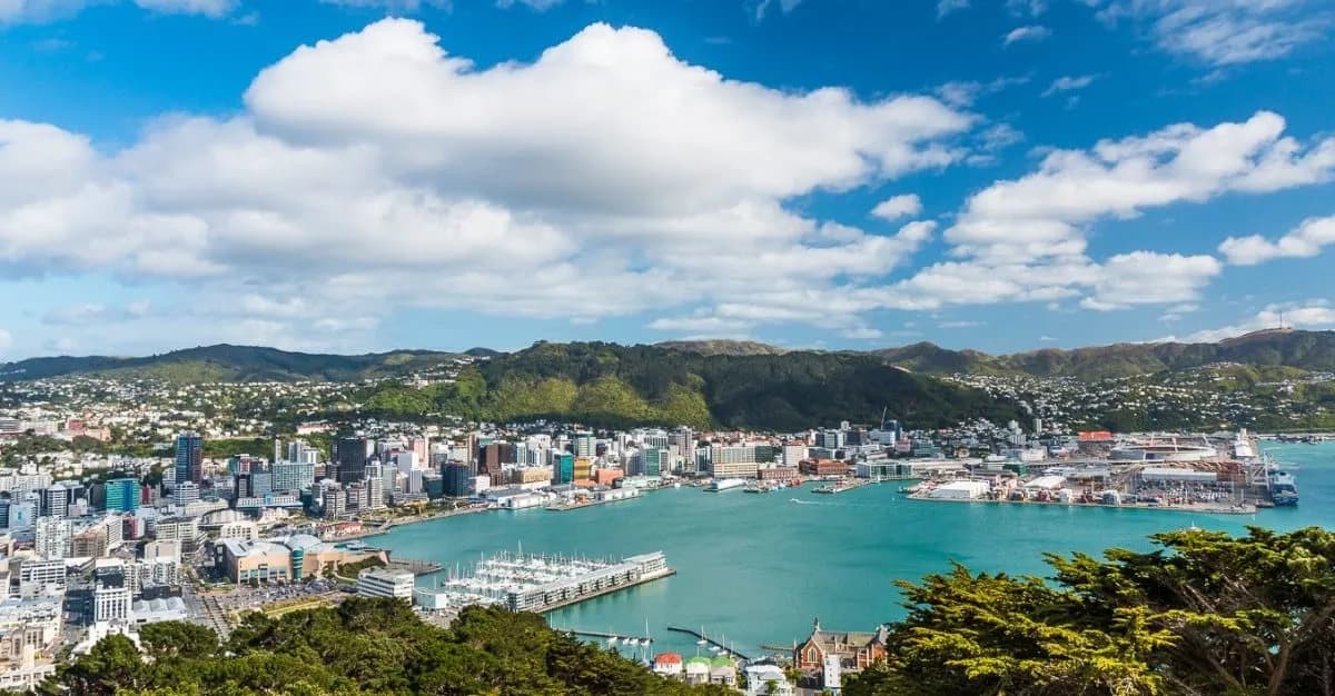 Dixon Street Chiropractic — Chiropractors in Wellington