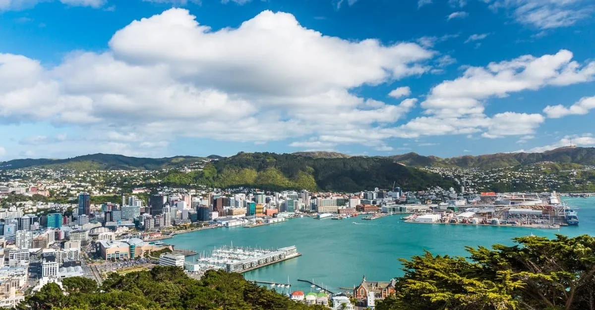 Dixon Street Chiropractic — Chiropractors in Wellington