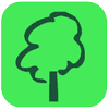 Arbor Care