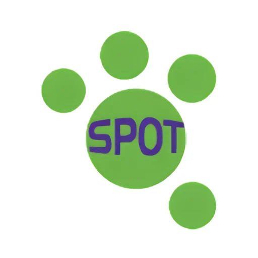 On the Spot Carpet Cleaning