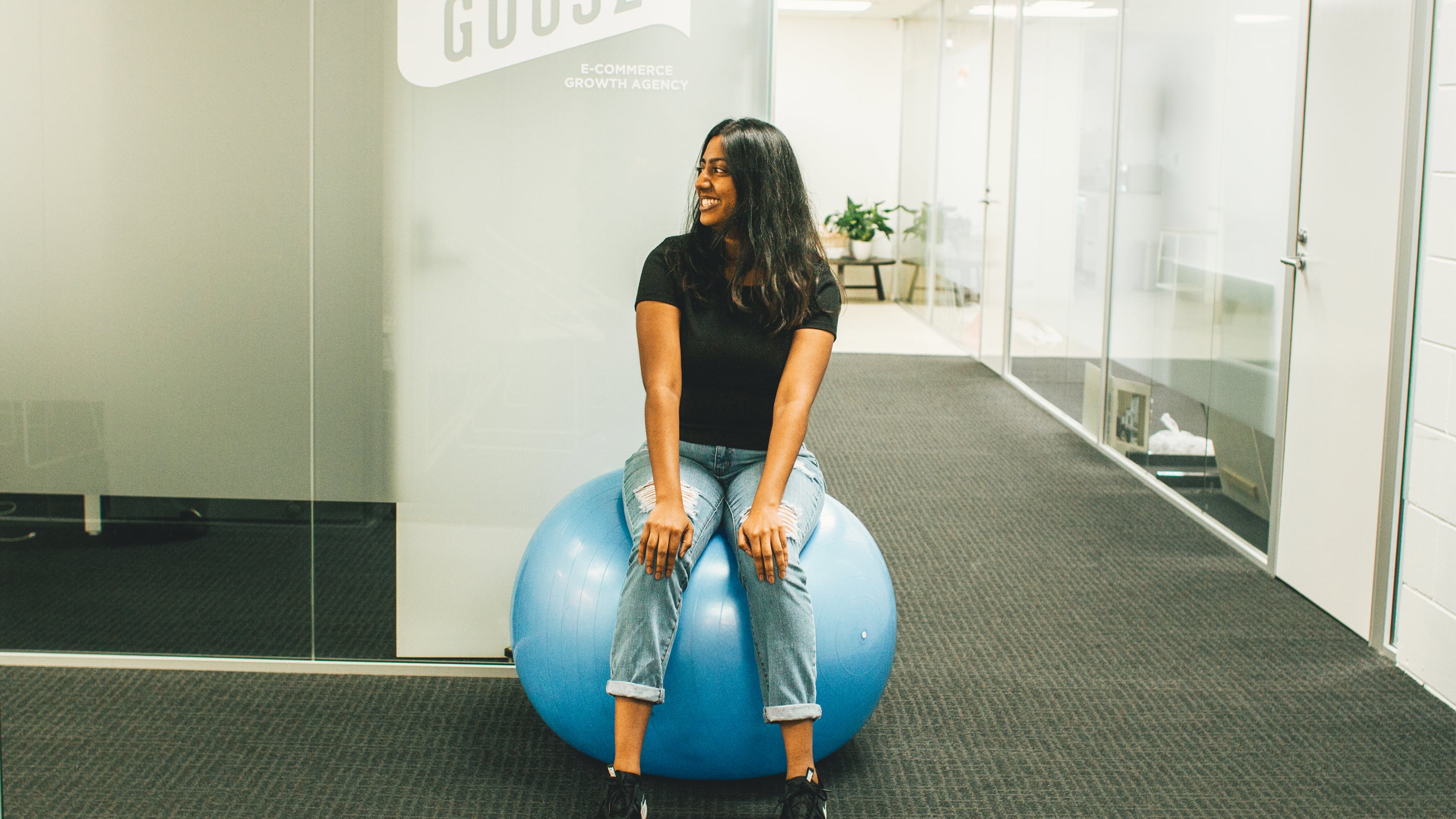 Goose — Commercial Cleaning Services in Auckland