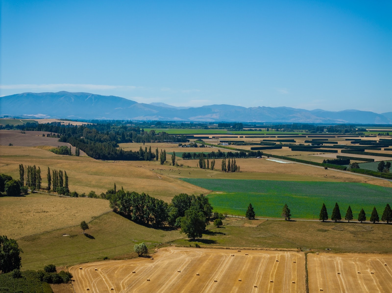 Agronomy Society of New Zealand — Non Profit Organisations in Auckland