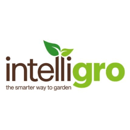 Intelligro
