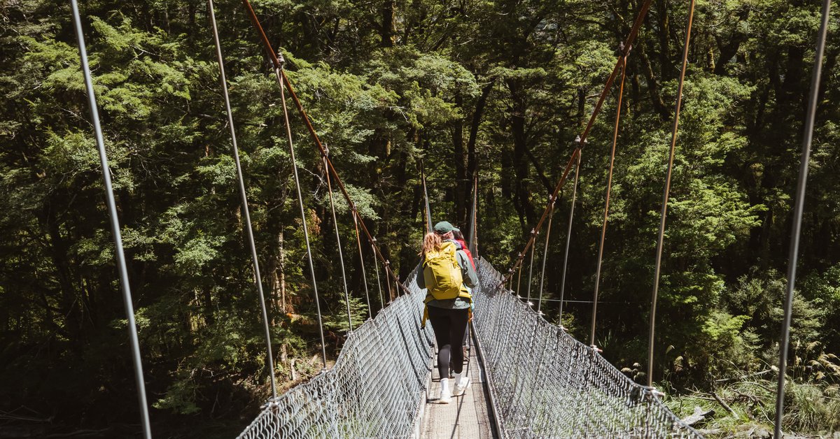 Fiordland Outdoors Co — Logistics & Distribution in Te Anau