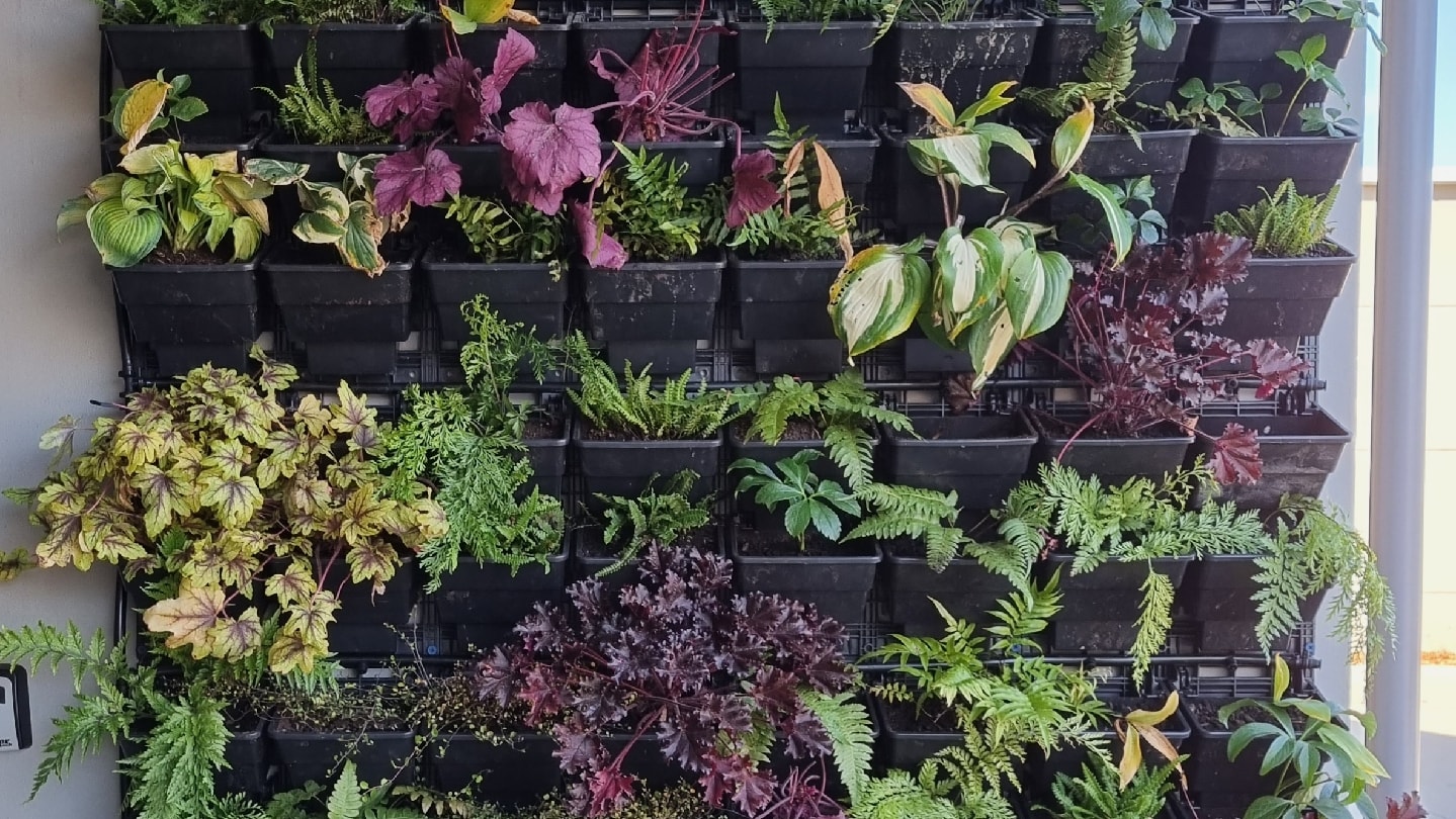 Remarkable Garden Services — Landscaping Services in Queenstown