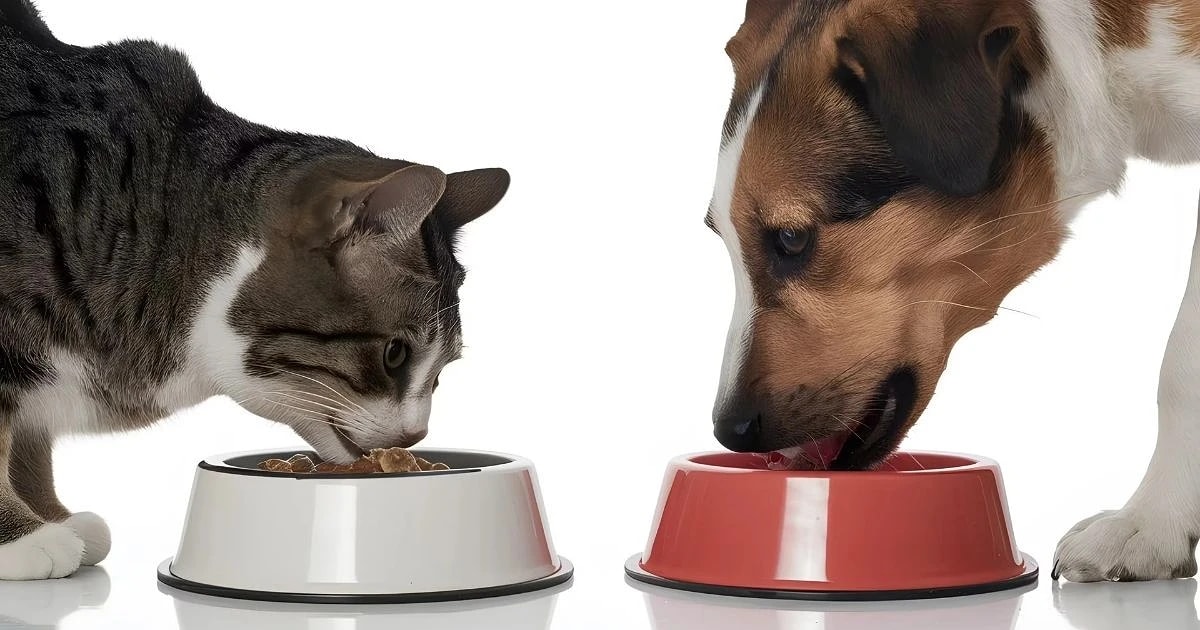Premium Petfood — Pet Stores in Oxford
