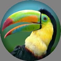 Toucan Media Ltd logo