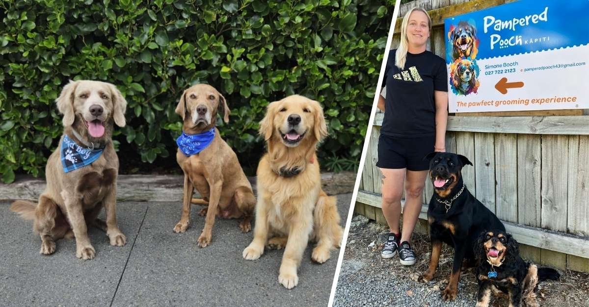 Pampered Pooch Kapiti — Dog Groomers in Waikanae