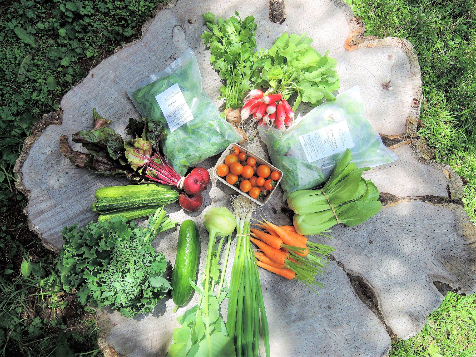 Waewae Permaculture — Food & Beverage in Pūrākaunui