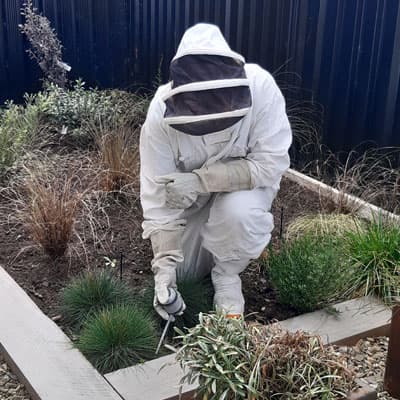 Allpest Pest Management — Pest Control Services in Queenstown