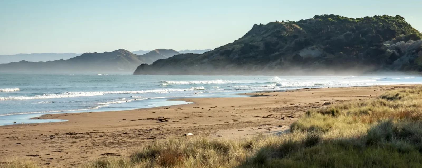 CBRE Gisborne — Real Estate Agents in Gisborne