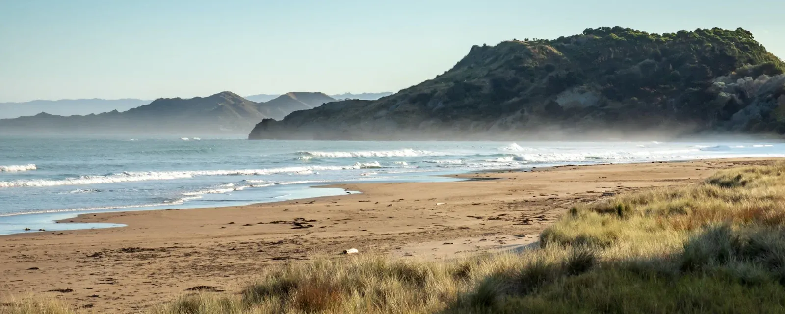 CBRE Gisborne — Real Estate Agents in Gisborne