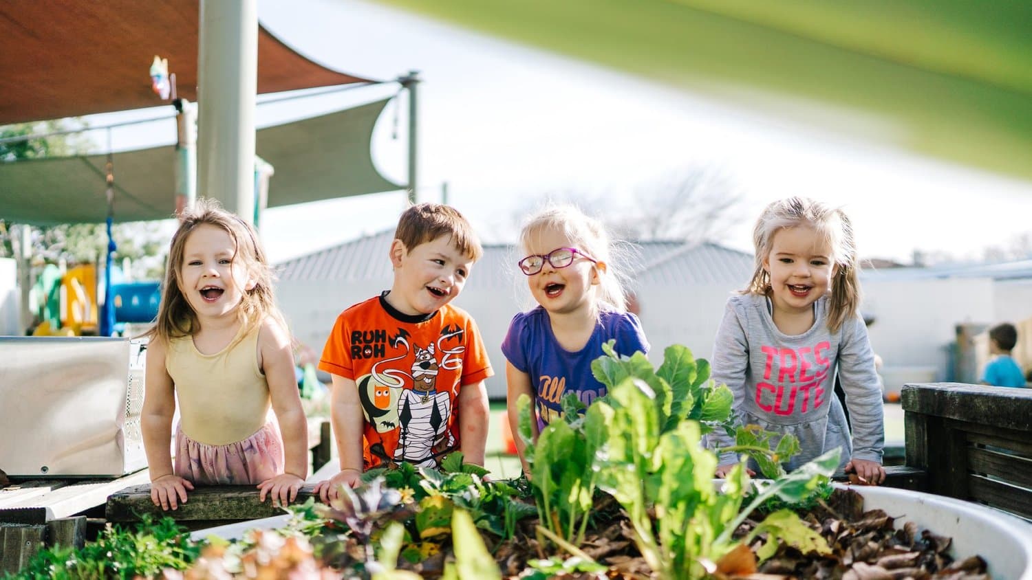 Tiny Smiles Early Learning — Childcare Centres in New Plymouth