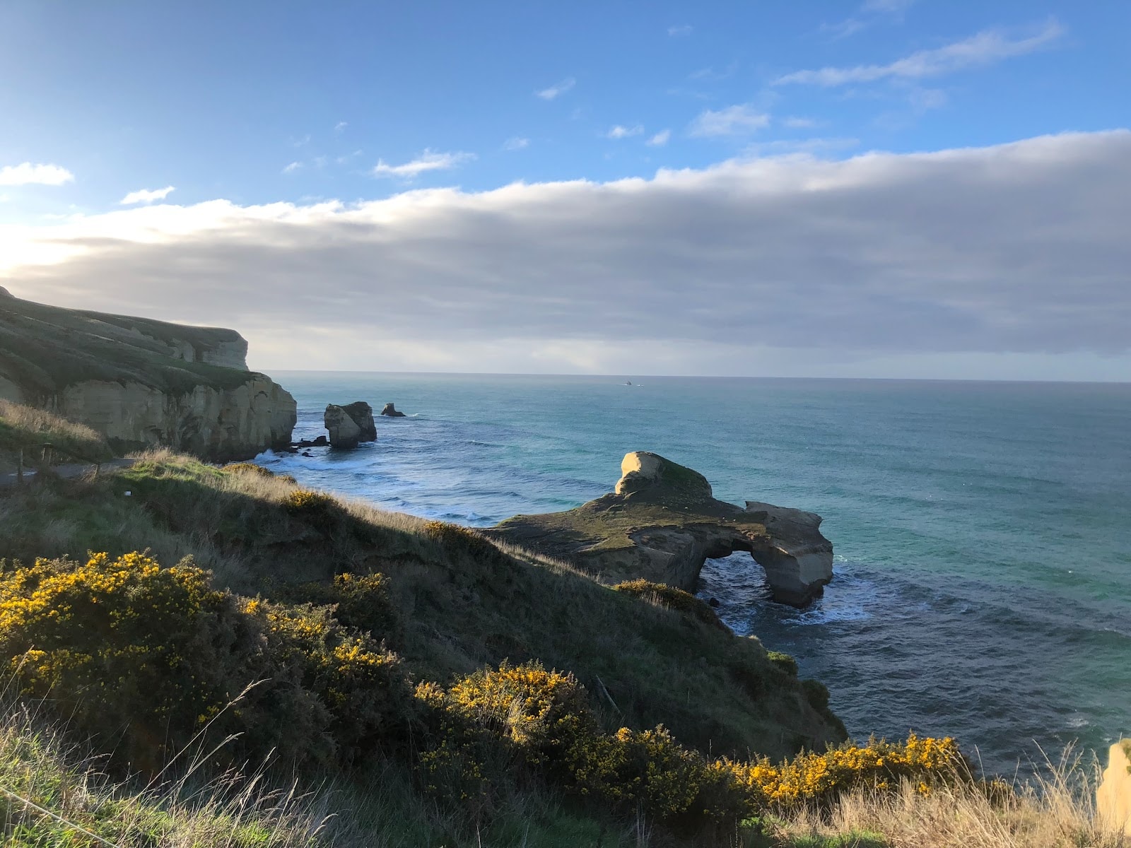 Django Media — Digital Marketing Agencies in Dunedin