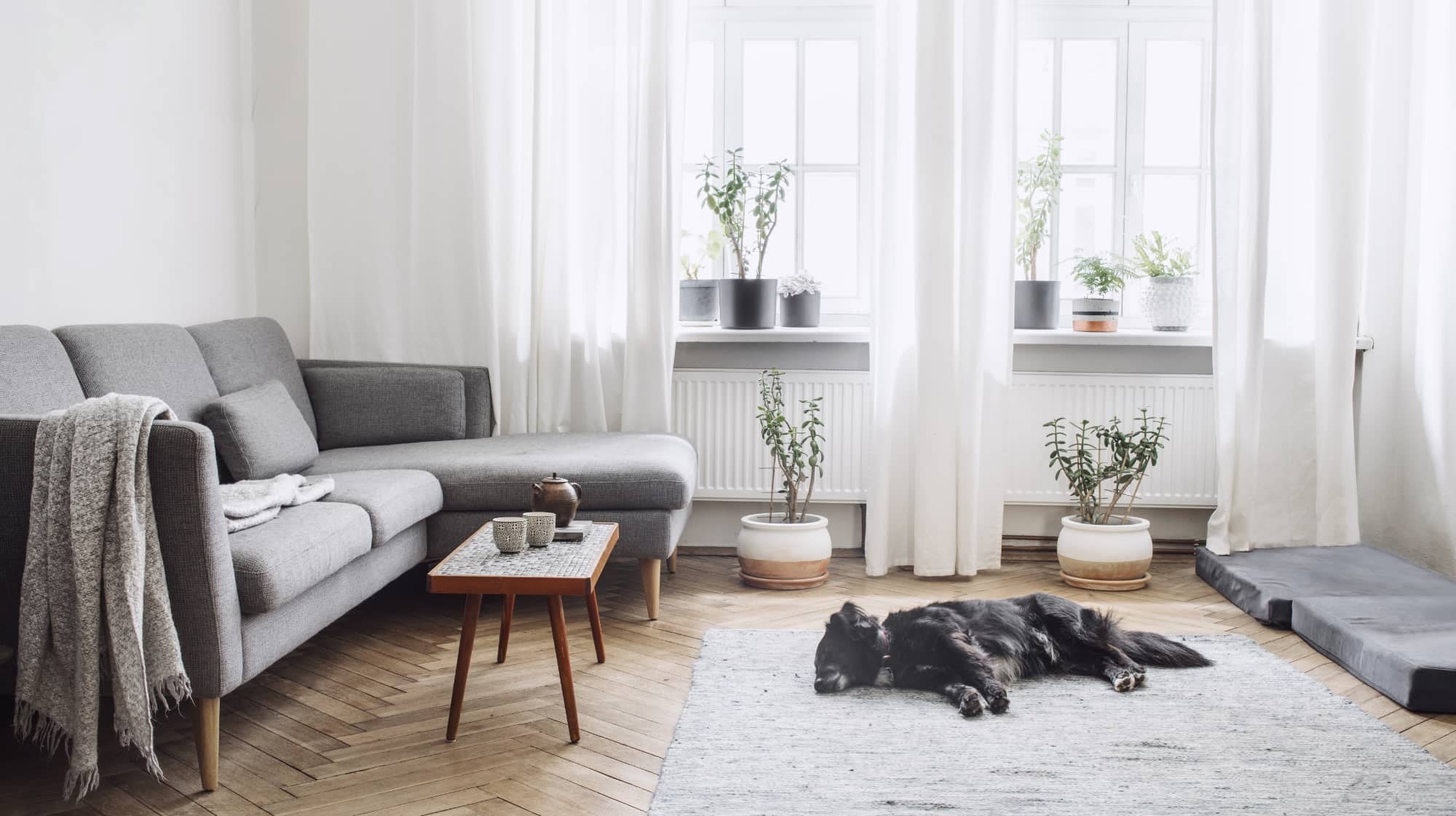 Rentworks — Property Managers in Christchurch