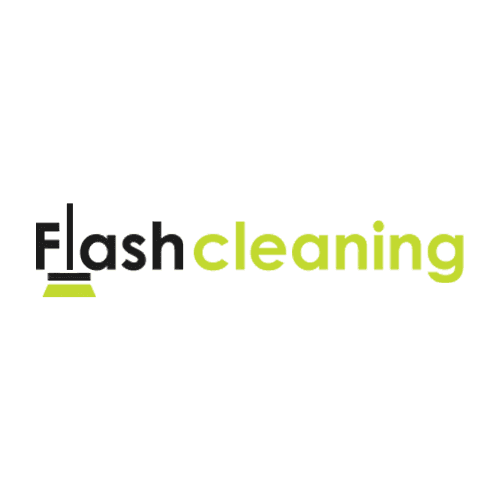 Flash Cleaning logo