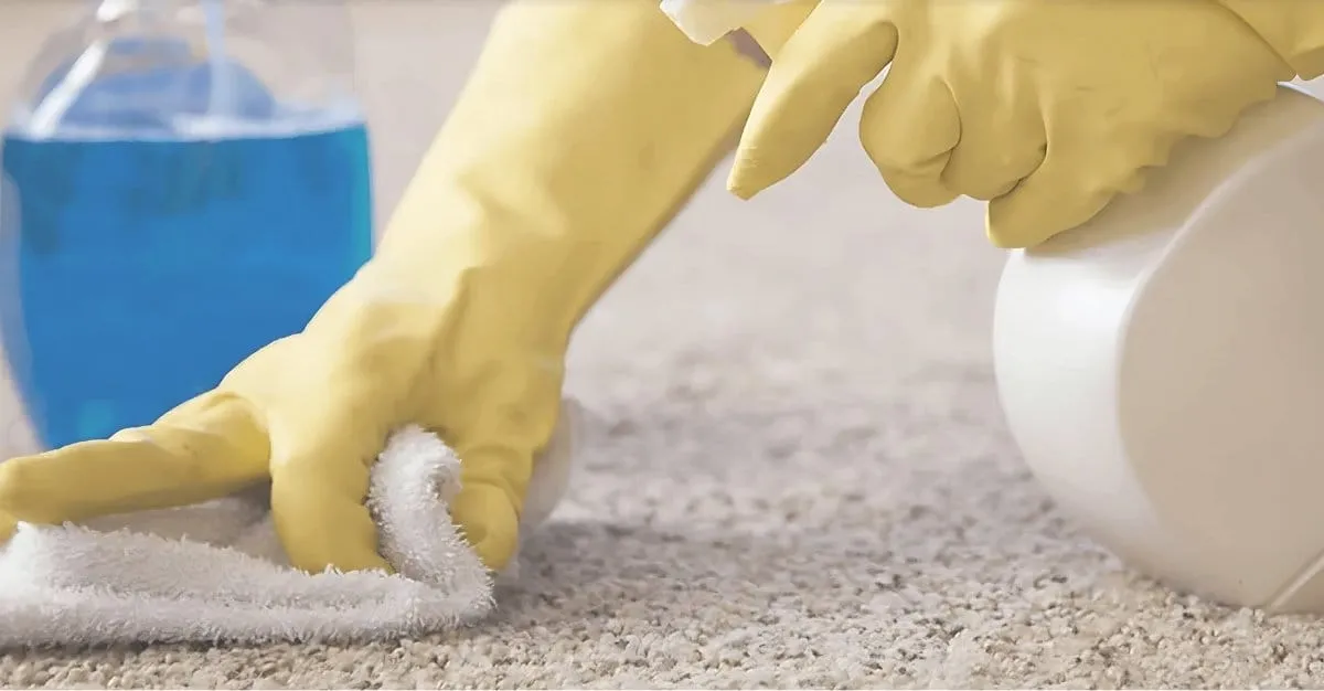 Flash Cleaning — Cleaning Services in Papatoetoe