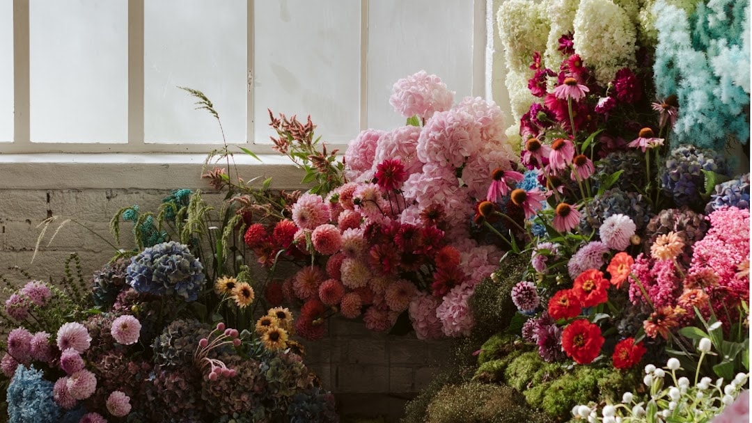 Floral Stylist Co. — Florists in Auckland