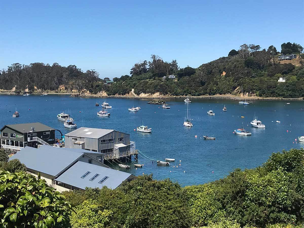 Stewart Island Backpackers — Accommodation in Stewart Island