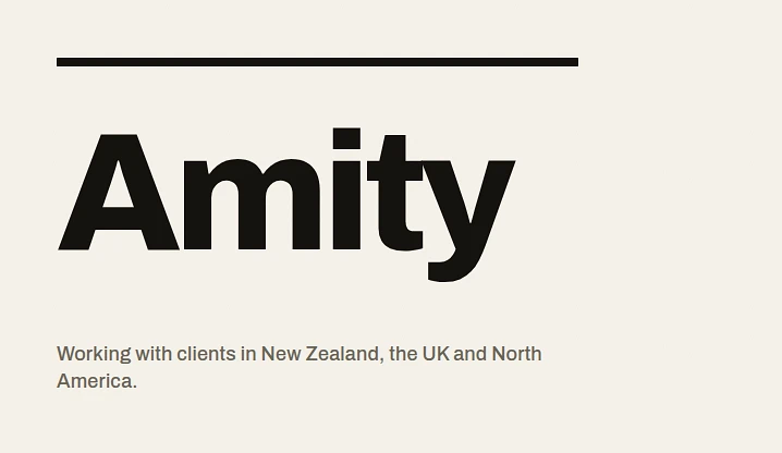 Amity Innovation Limited — Business Consultants in Tauranga