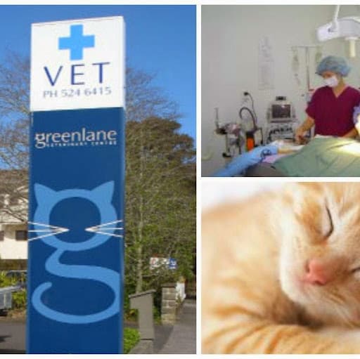 Greenlane Veterinary Centre and Cattery