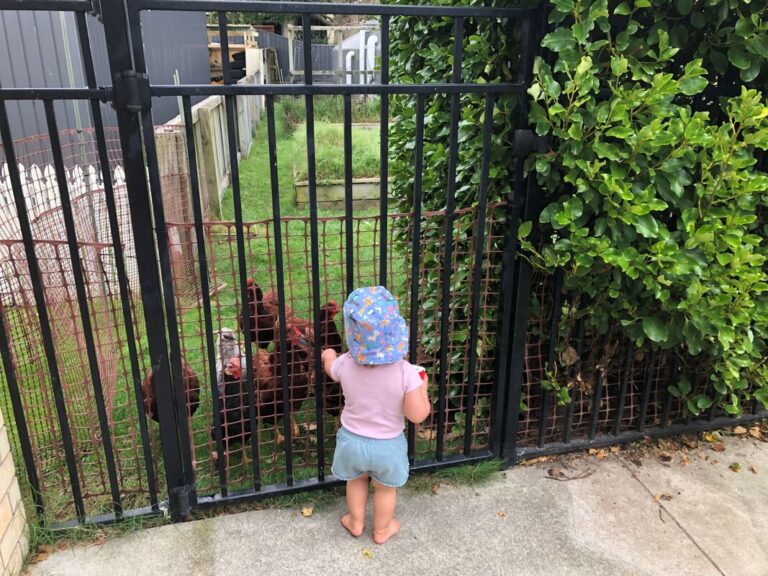 Morrinsville Kids Limited — Childcare Centres in Morrinsville