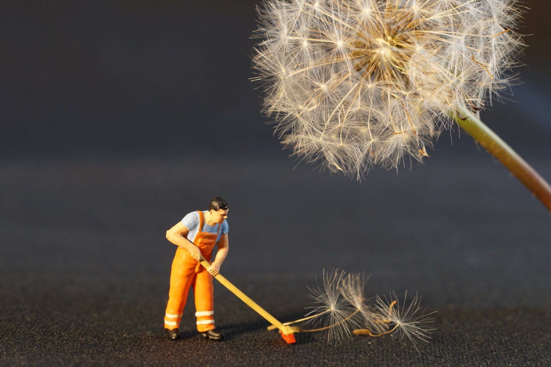 Excellent Cleaning Services — Residential Cleaning Services in Christchurch