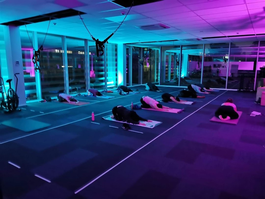 Bodi HQ - Personal Training, Classes, Gym — Personal Trainers in Auckland