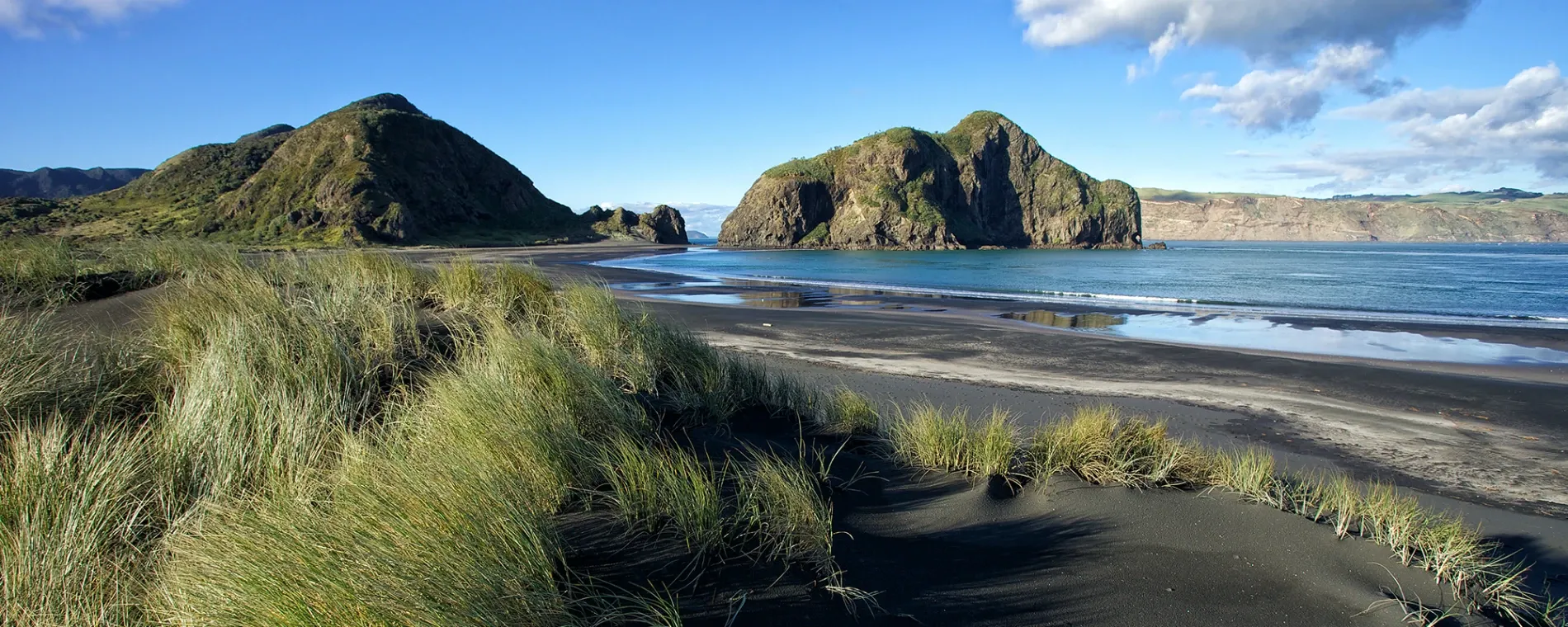 Koru Clinic — Osteopaths in Titirangi