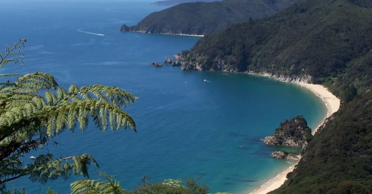 Hardy Cars — Car Rental Services in Nelson