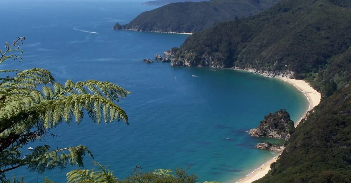 Hardy Cars — Car Rental Services in Nelson