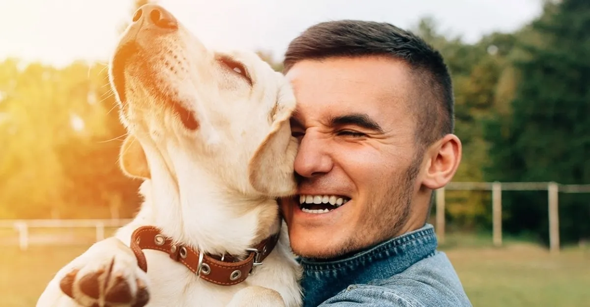 TransFURmations — Dog Groomers in Palmerston North