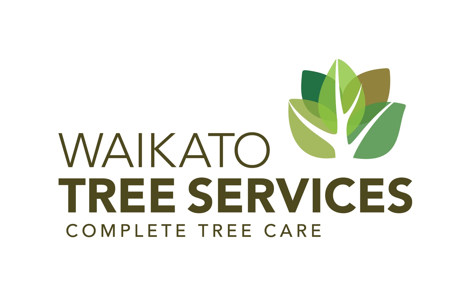 Waikato Tree Services — Arborists in Hamilton