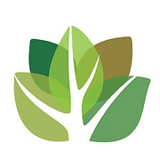 Waikato Tree Services