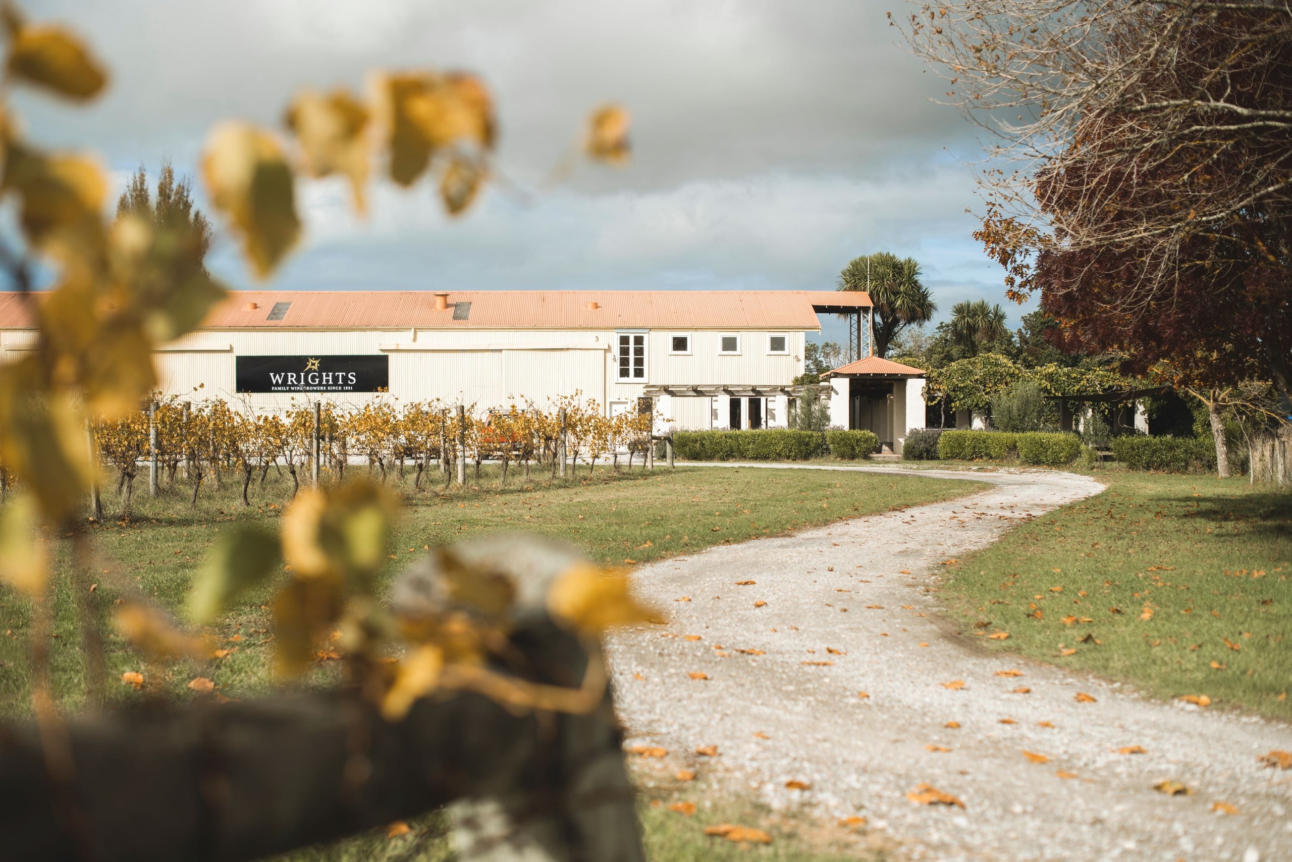 Wrights Vineyard & Winery — Food & Beverage in Manutūkē