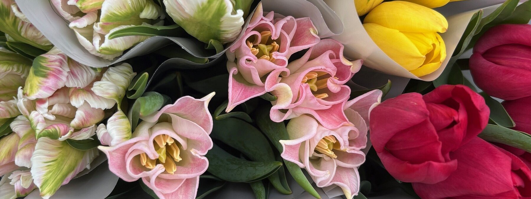 Flowers By Joanne — Florists in Orewa