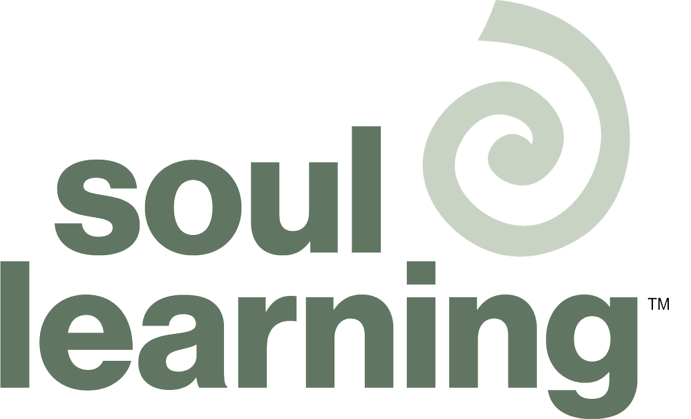 Soul Learning — Education & Training in Mount Maunganui