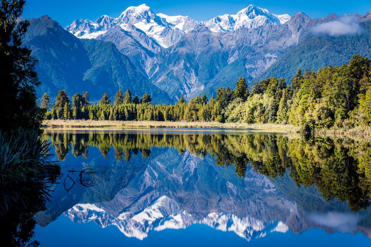 IMMagine Australia & New Zealand — Immigration Consultants in Auckland